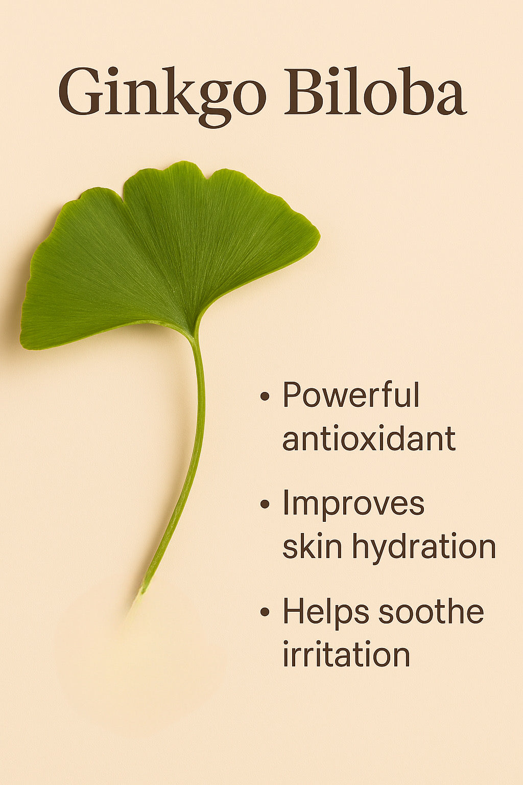 Antioxidant Ginkgo Gel Booster