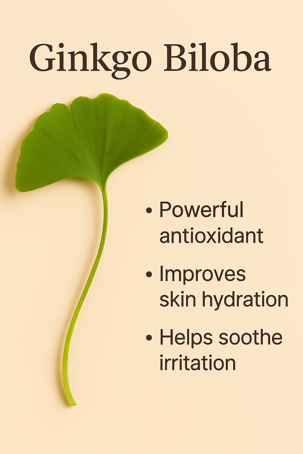 Niacinamide Gel Moisturiser