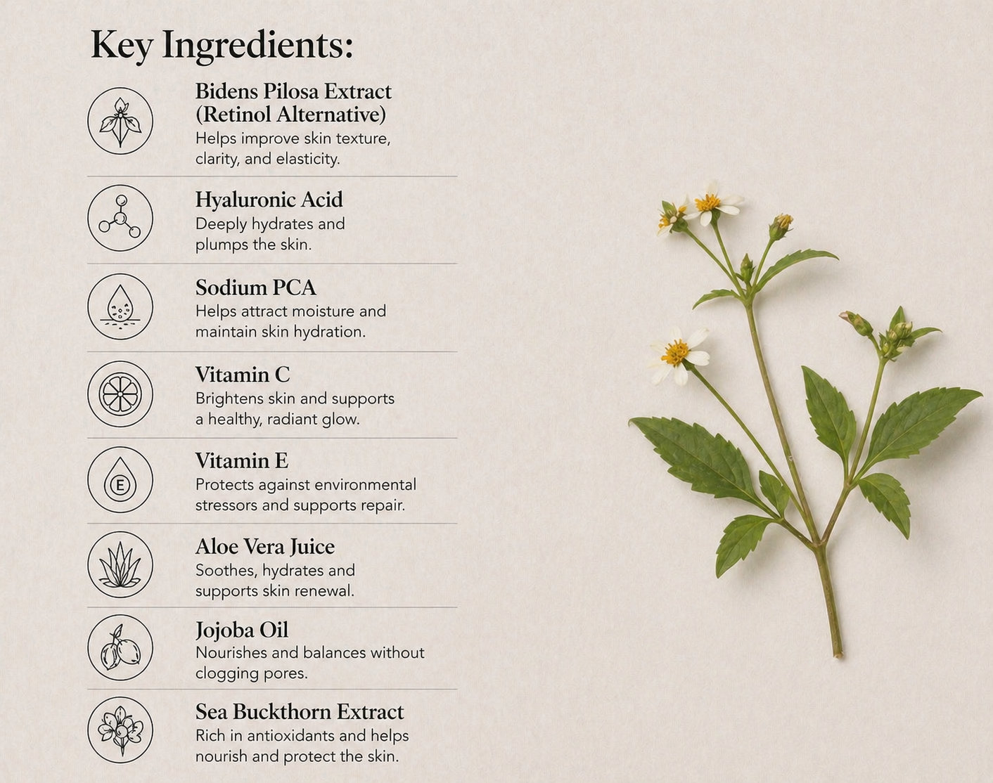 Retinol-Alternative Feuchtigkeitscreme