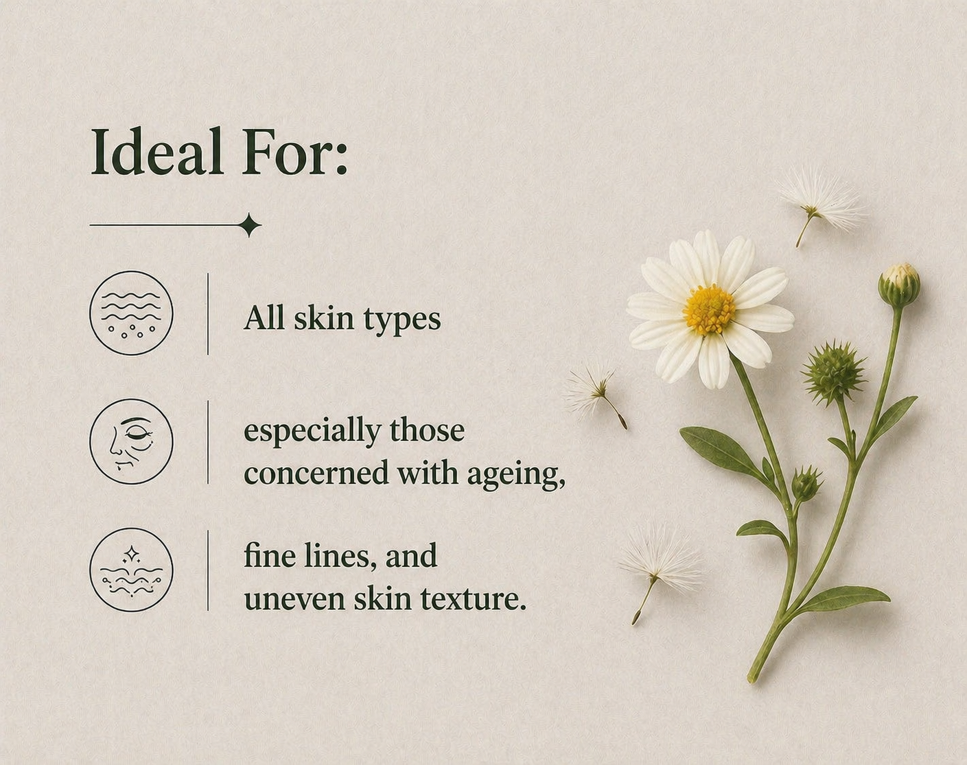 Retinol-Alternative Feuchtigkeitscreme